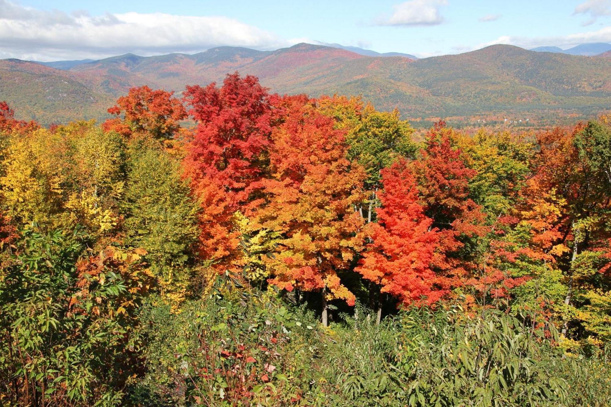 White Mountains Getaway With Amazing Views! Apartment Бартлет Екстериор снимка