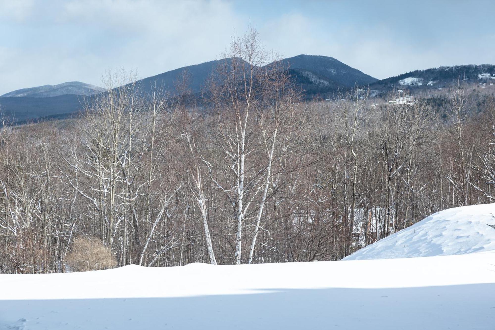 White Mountains Getaway With Amazing Views! Apartment Бартлет Екстериор снимка
